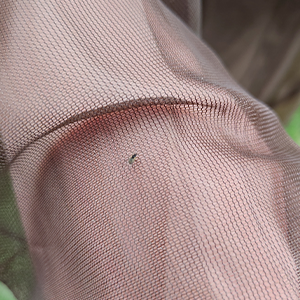 Mosquito Jacket Mosquito Mesh See-Through Super Light Keeps Cool UV Protection