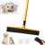 Yellow Broom