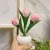 Tulip Lamp LED